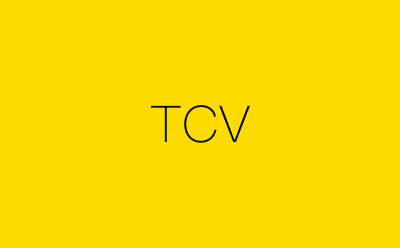 TCV策划方案合集