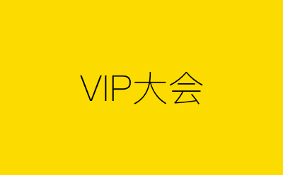 VIP大会-营销策划方案行业大数据搜索引擎