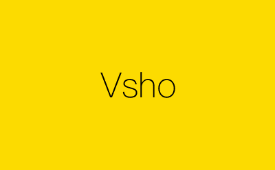Vsho-营销策划方案行业大数据搜索引擎