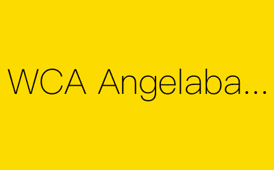 WCA Angelababy-营销策划方案行业大数据搜索引擎