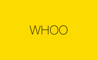 WHOO-营销策划方案行业大数据搜索引擎