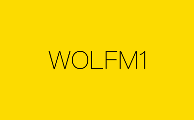WOLFM1-营销策划方案行业大数据搜索引擎