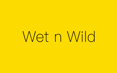 Wet n Wild-营销策划方案行业大数据搜索引擎
