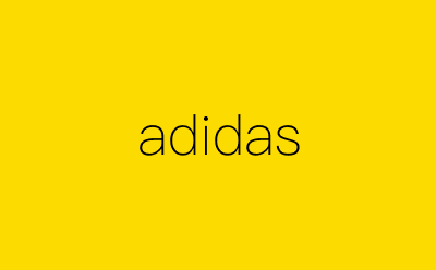 adidas-营销策划方案行业大数据搜索引擎