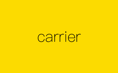 carrier-营销策划方案行业大数据搜索引擎