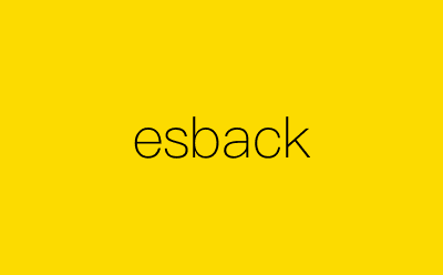 esback-营销策划方案行业大数据搜索引擎