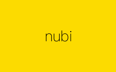 nubi-营销策划方案行业大数据搜索引擎