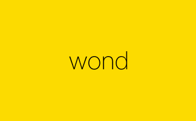 wond-营销策划方案行业大数据搜索引擎