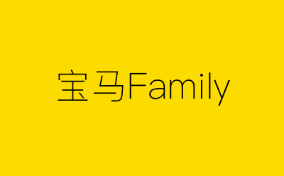宝马Family-营销策划方案行业大数据搜索引擎