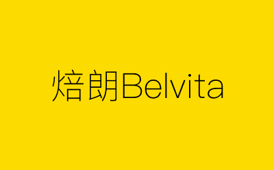 焙朗Belvita-营销策划方案行业大数据搜索引擎
